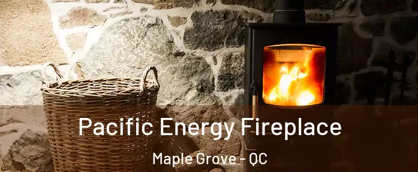  Pacific Energy Fireplace Maple Grove - QC