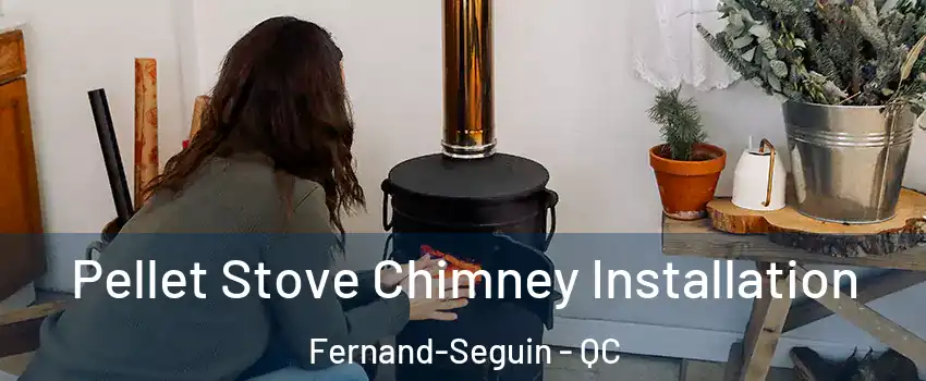  Pellet Stove Chimney Installation Fernand-Seguin - QC