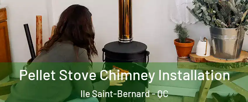  Pellet Stove Chimney Installation lle Saint-Bernard - QC