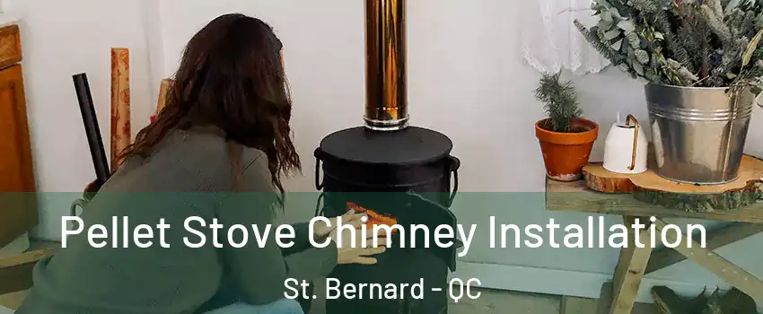  Pellet Stove Chimney Installation St. Bernard - QC