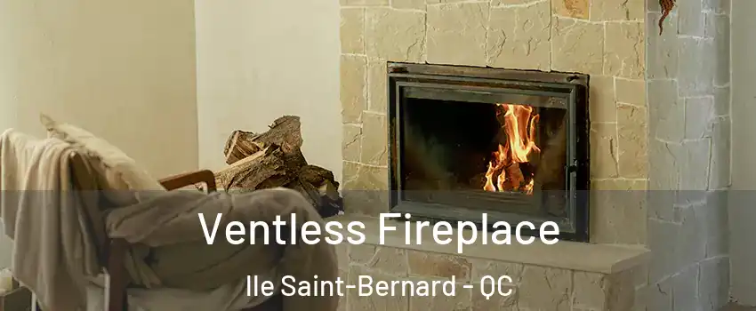  Ventless Fireplace lle Saint-Bernard - QC