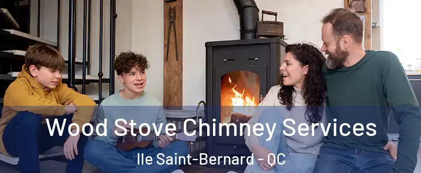  Wood Stove Chimney Services lle Saint-Bernard - QC