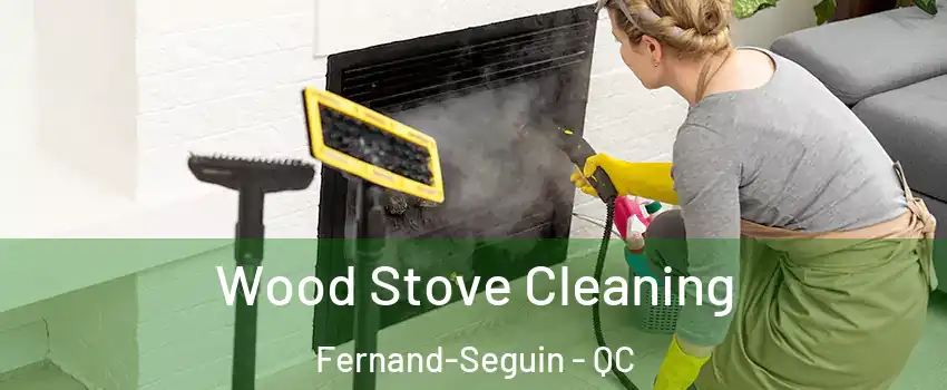  Wood Stove Cleaning Fernand-Seguin - QC