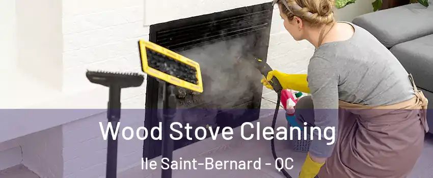  Wood Stove Cleaning lle Saint-Bernard - QC