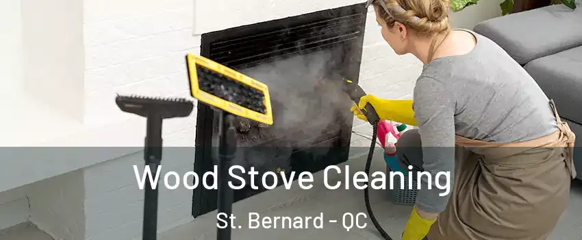  Wood Stove Cleaning St. Bernard - QC