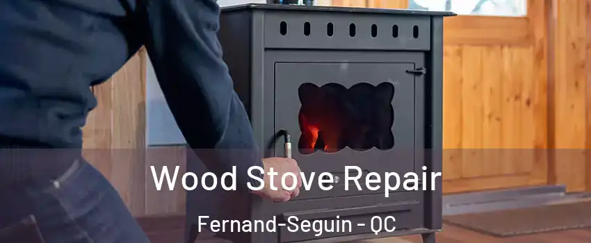  Wood Stove Repair Fernand-Seguin - QC