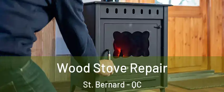  Wood Stove Repair St. Bernard - QC
